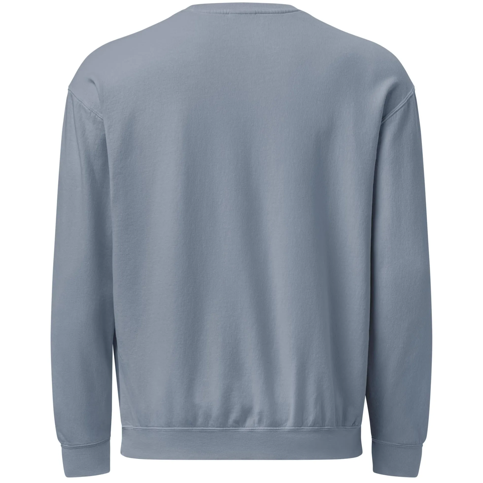 Barbie Artist Series Robert Best Blue Sweatshirt