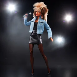 Barbie Signature Music Series Tina Turner Doll