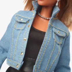Barbie Signature Music Series Tina Turner Doll