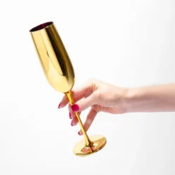 Barbie™ X Dragon Glassware® Dreamhouse™ Champagne Flutes