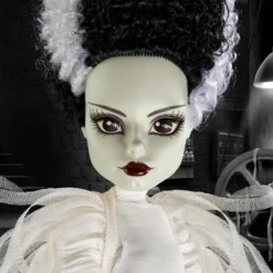 Frankenstein & Bride of Frankenstein Monster High Skullector Doll Set