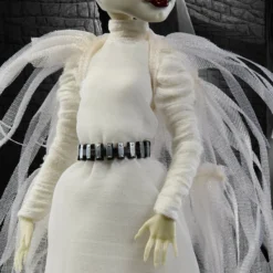Frankenstein & Bride of Frankenstein Monster High Skullector Doll Set