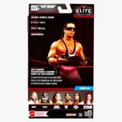 WWE Bret