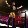 WWE Ultimate Edition CM Punk Action Figure