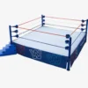 WWE Ultimate Edition New Generation Arena